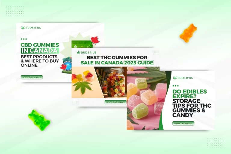 Blog-Post-Design-BUDS-R-US-featured-images