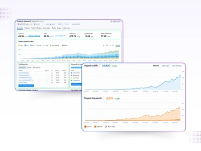 Shopify SEO Services - Portfolio Image 3